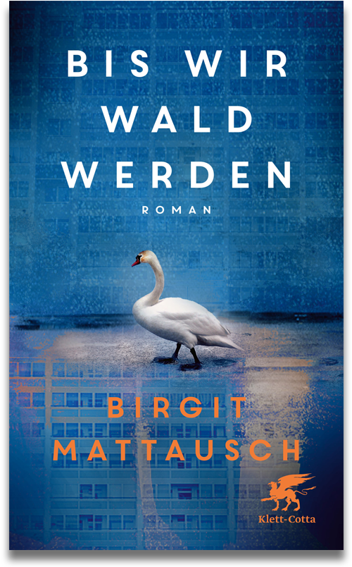 Buchcover: Birgit Mattausch Bis wir Wald werden Buchcover: Birgit Mattausch Bis wir Wald werden