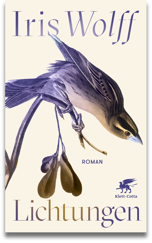 Buchcover: Iris Wolff: Lichtungen Buchcover: Iris Wolff: Lichtungen