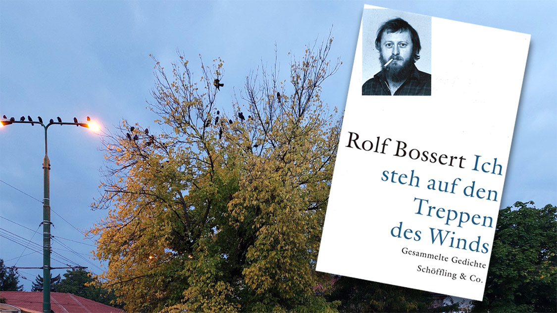 »Wo sind wir, was wir sind« – Existieren und Schreiben in der kommunistischen Diktatur Platzhalterdarstellung für ausgewählte Veranstaltungen