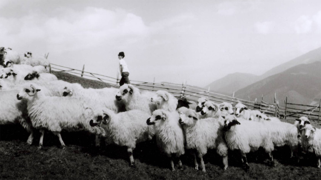 Dem Himmel ganz nah | Filmstill © Bernd Fischer