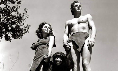 Maureen O’Sullivan spielt in den ersten sechs Tarzan-Filmen mit Johnny Weissmüller die Rolle der Jane. Der Schimpanse Cheetah und der Junge Boy, gespielt von Johnny Sheffield, werden im Laufe der Reihe zu festen Begleitern von Tarzan und Jane. © IMAGO / Cinema Publishers Collection
