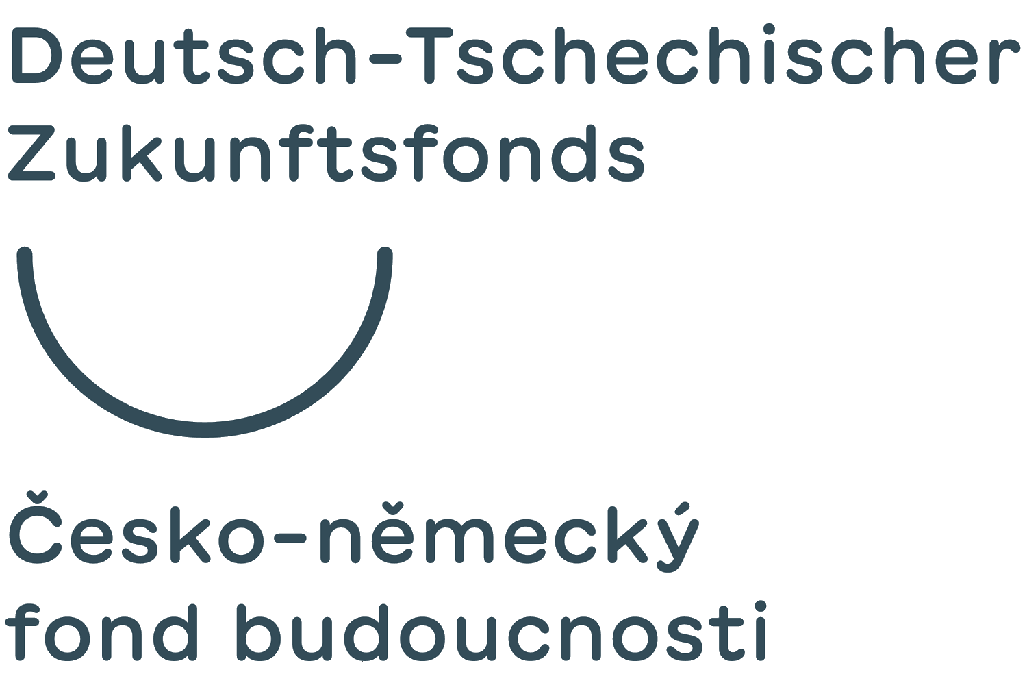 Logo: Deutsch-Tschechischer Zukunftsfonds
